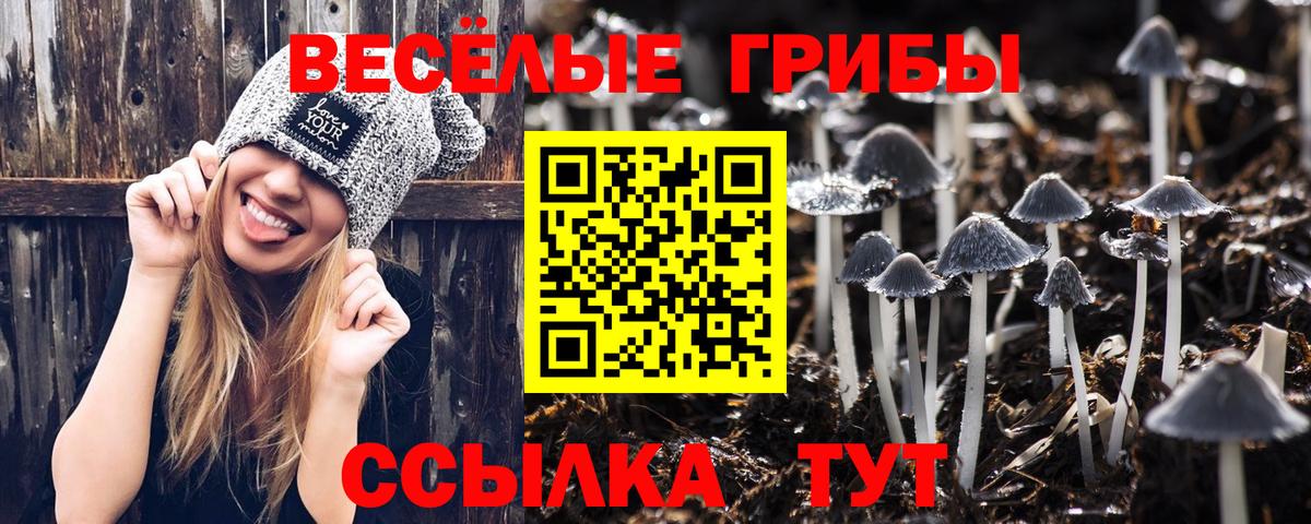 Галлюциногенные грибы ЛСД  Вход с VPN  Ноябрьск 